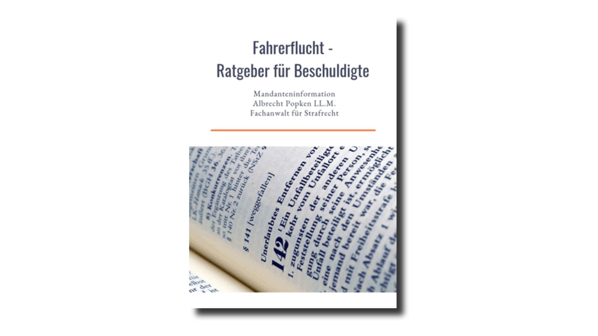 PDF-Ratgeber zur Fahrerflucht Download Deckblatt
